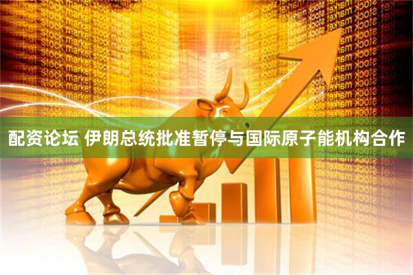 配资论坛 伊朗总统批准暂停与国际原子能机构合作