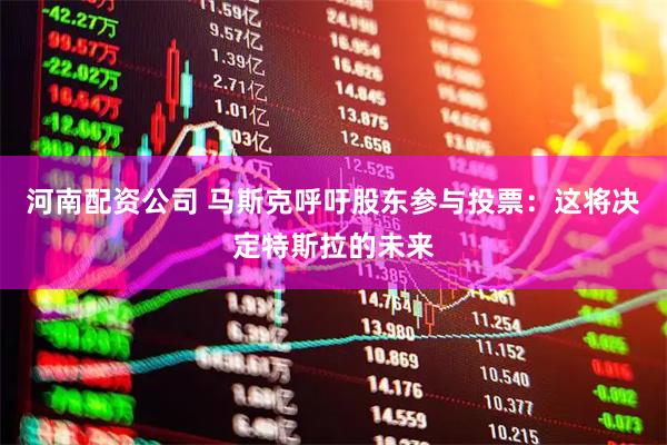 河南配资公司 马斯克呼吁股东参与投票：这将决定特斯拉的未来